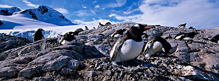 《流放之路2》新实机预告公布 不逊于暗黑游戏