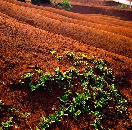 《地平线：零之曙光》画面进化史 女主大变样！